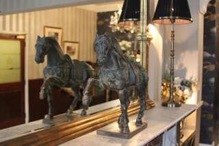 Отель Maples House Hotel Дублин-3